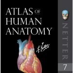 Netter’s Atlas of Human Anatomy 7th Edition PDF
