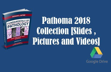 Pathoma 2013 pdf free download