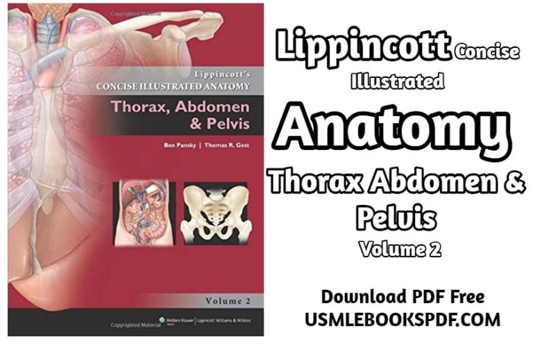 Download Lippincott Concise Illustrated Anatomy Thorax Abdomen & Pelvis Volume 2 1st Edition PDF Free