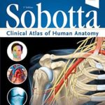 Sobotta Clinical Atlas Of Human Anatomy – First Edition PDF