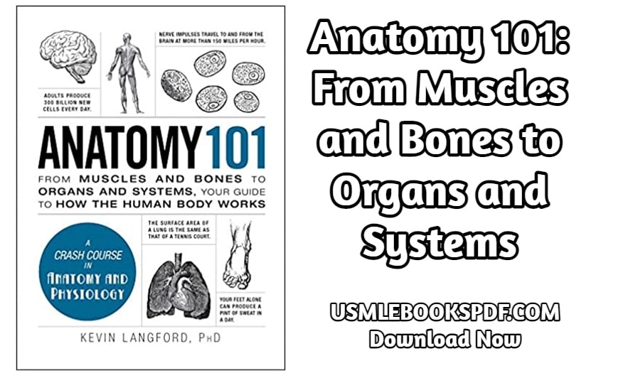 Anatomy 101: From Muscles and Bones to Organs and Systems Your Guide to How the Human Body
