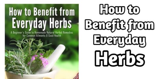 Download How to Benefit from Everyday Herbs - A Beginner's Guide to Homemade Natural Herbal Remedies for Common Ailments & Good Health