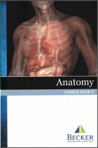 BECKER USMLE Step 1 Anatomy
