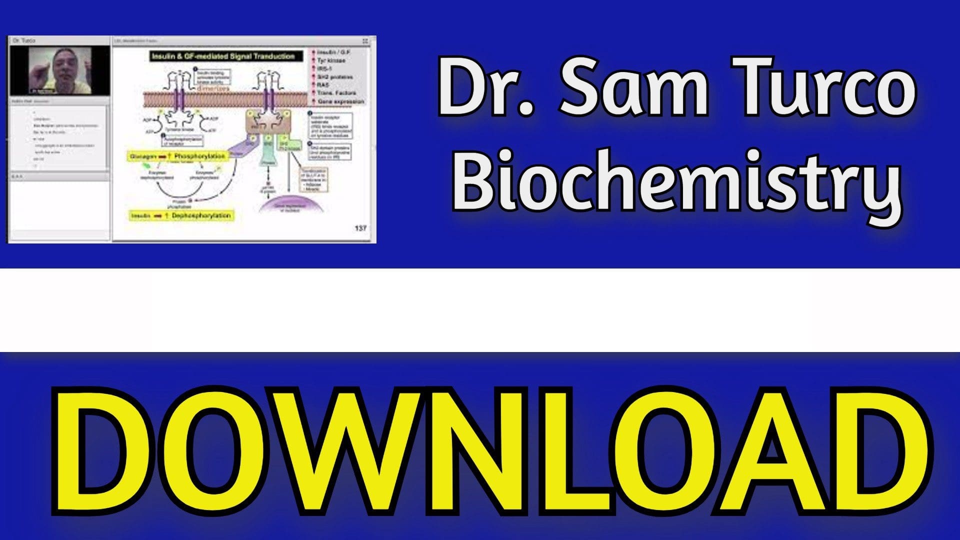 Sam Turco's Biochemistry 2023 Classroom