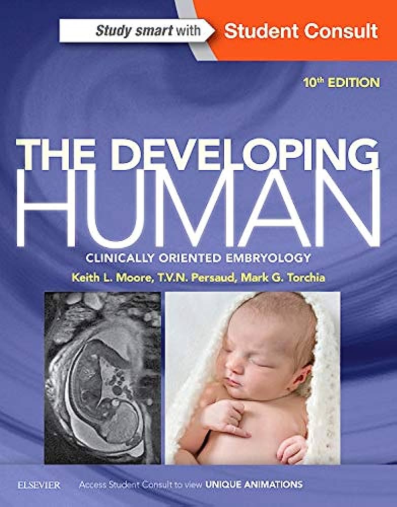 The Developing Human Clinically Oriented Embryology (2)