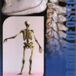 Hand book of Osteology by Podder PDF Free Download