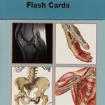 Netter’s Musculoskeletal Flash Cards (Netter Basic Science) 1st Edition PDF Free Download
