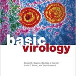 Basic Virology 3rd Edition PDF Download (Direct Link)