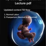 Gynecology & Obstetrics slides PDF Download (Direct Link)