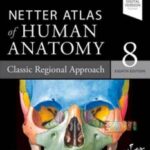 Netter Atlas of Human Anatomy 8th Edition PDF Download (Direct Link)