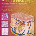 Atlas of Histology With Functional Correlations 11th Edition PDF Download (Direct Link)