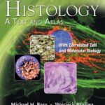 Histology A Text and Atlas 6th Edition PDF Download (Direct Link)