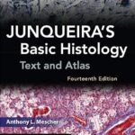 Junqueira’s Basic Histology Text and Atlas 14th Edition PDF Download (Direct Link)