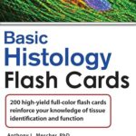 Lange Basic Histology Flash Cards (LANGE FlashCards) 1st Edition PDF Download (Direct Link)