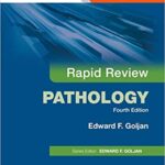 Rapid Review Pathology 4th Edition PDF Download (Direct Link)