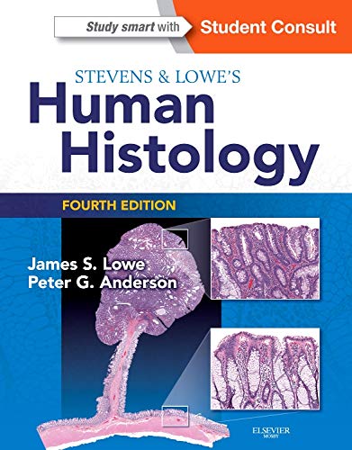 Stevens & Lowe’s Human Histology 4th Edition PDF Download (Direct Link)